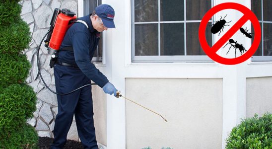 Evren Hamam Böceği İlaçlama böcek ilaçlama ve haşere kontrolü — ilaclama-tr.com